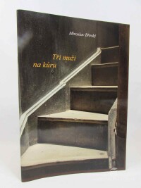 Břeský, Miroslav, Tři muži na kúru, 2017